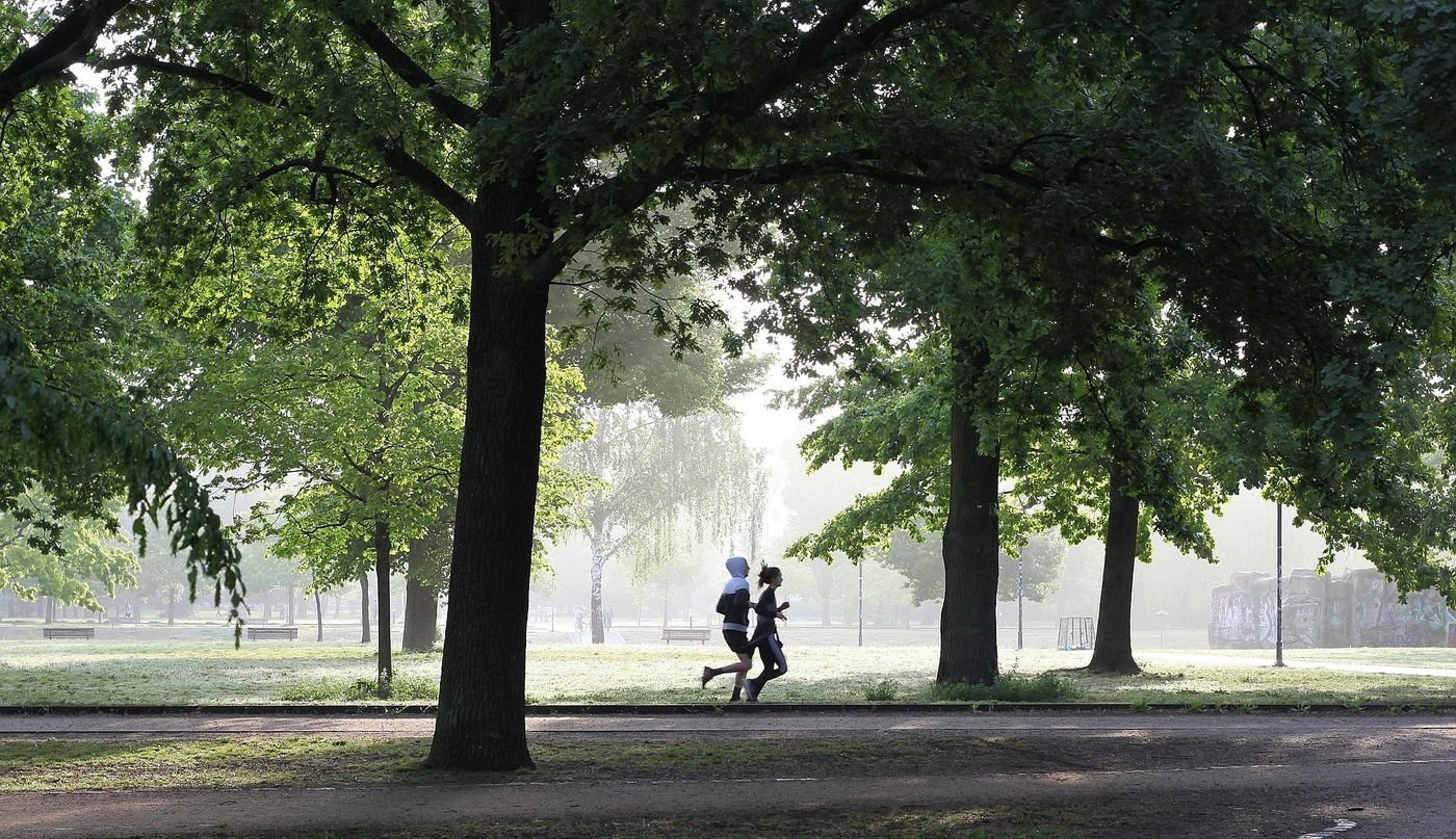 Corredores em parque ao amanhecer